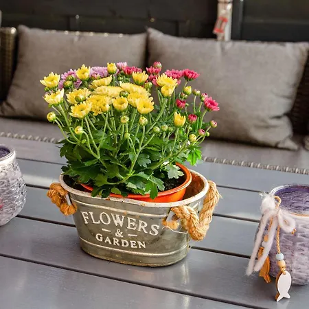 Segelboot Holiday home Krummhoern